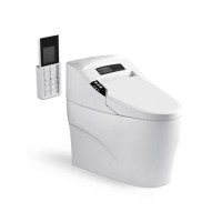 智能衛浴系列 6101